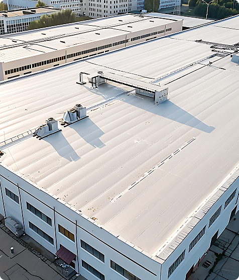 Commercial Facility Roof