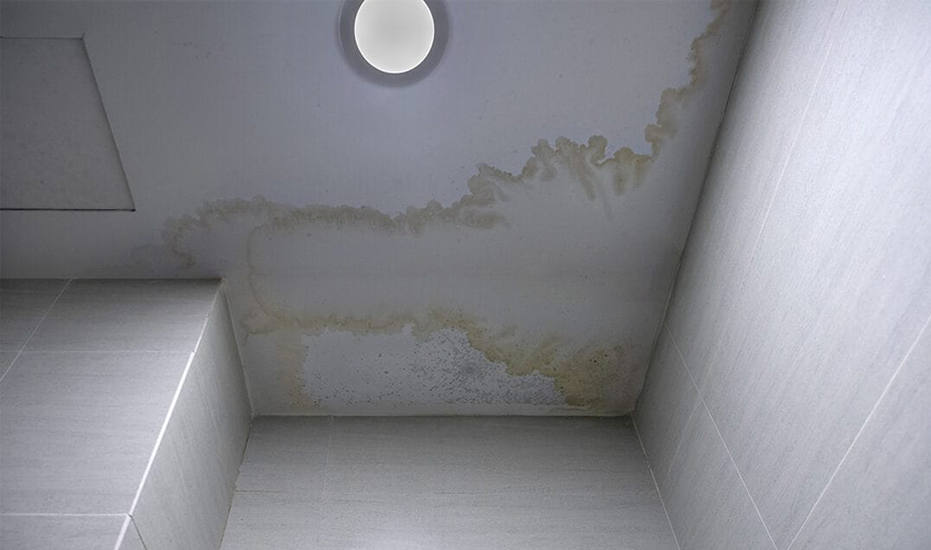 What Should You Do If Your Commercial Roof Starts Leaking During Business Hours?