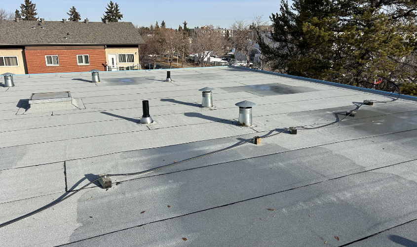 Common Flat Roof Problems in Large Commercial Buildings
